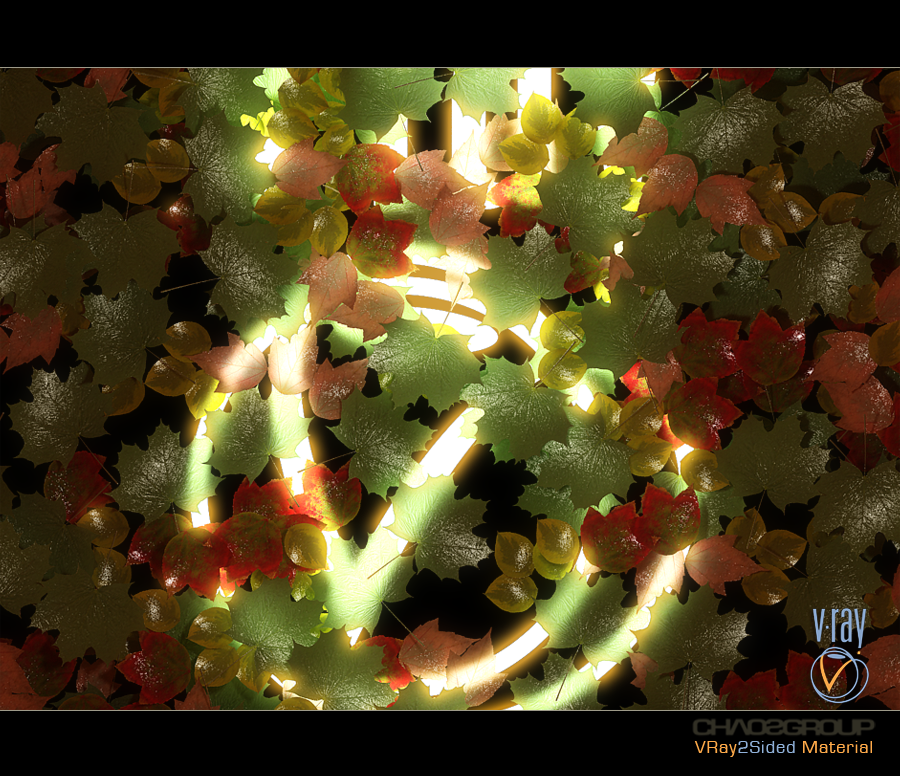 images/download/attachments/2557443/2Sided_9.png