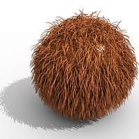 images/download/attachments/2557495/VRayFur_1.png
