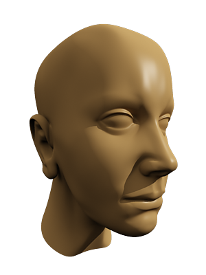 images/download/attachments/2557600/DispMod_6.png