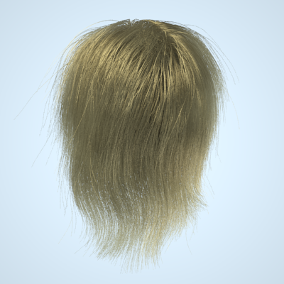 images/download/attachments/2557627/Hair.png